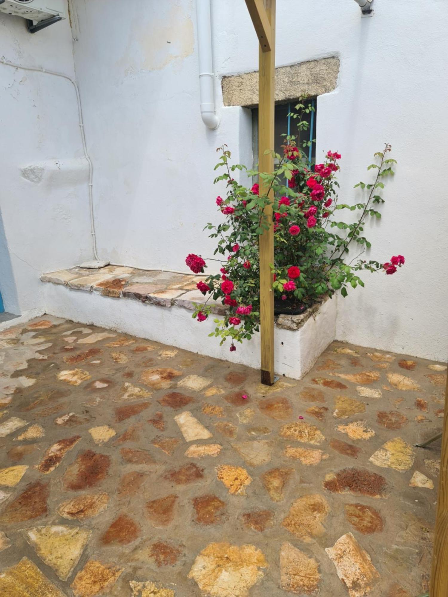 Kamaraki Grande Aroniadika Διαμέρισμα Κύθηρα Εξωτερικό φωτογραφία